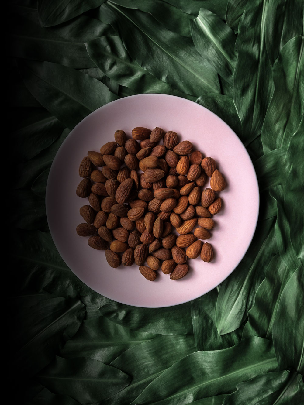 cacao